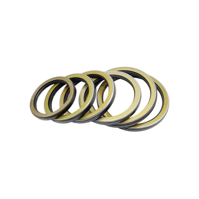 TCN Type High Pressure Shaft Seal AP3409F-4
